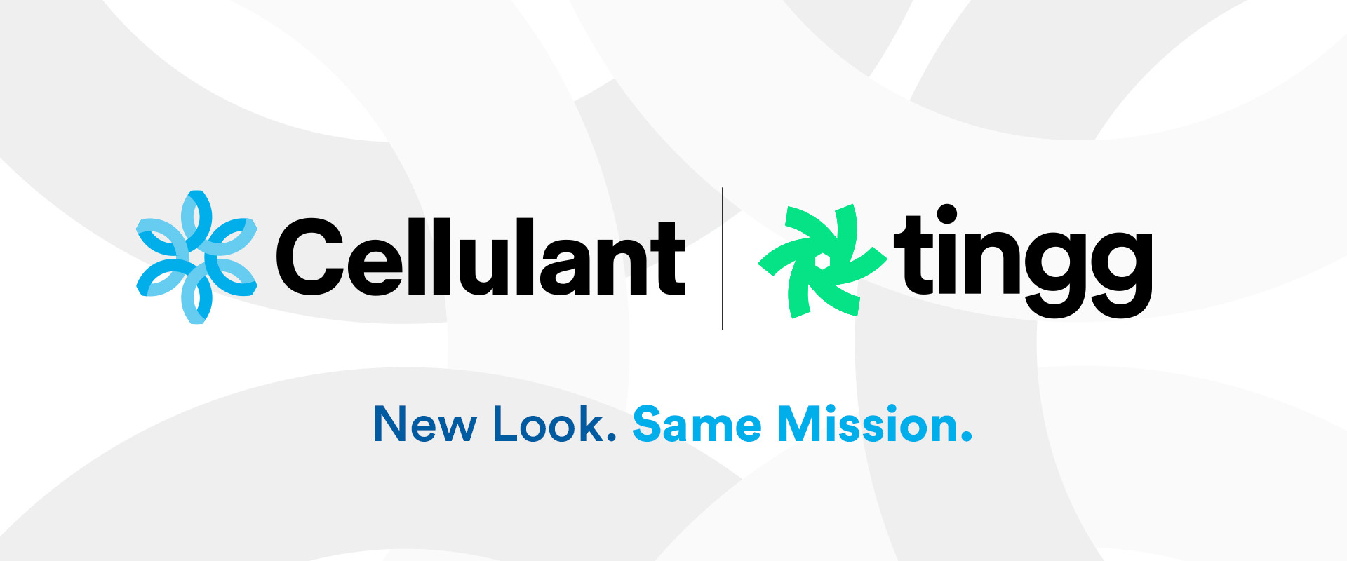 New Look. Same Mission: The Journey of Refreshing Our Brand Identity
