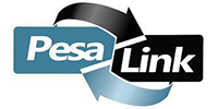 Pesa link logo